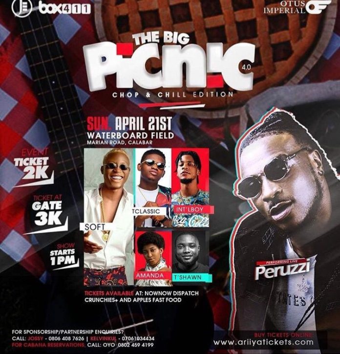 The Big Picnic Live in Calaber with Peruzzi and Soft - Nightlife.ng ...