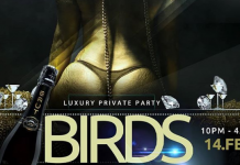 Birds Private Luxury Party